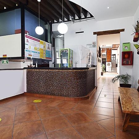 Mexico City Hostel Eksteriør bilde